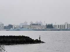 -上海滨江森林公园