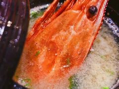 -Hatsune隐泉日式料理(SKP店)