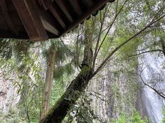 -刘伯温故里景区百丈漈