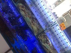 水产区-日照大牌檔•小船海鲜(万平口店)