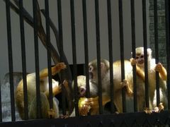 -广东茂名森林公园