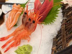 -红叶日料·放题·海胆·定食(星海店)