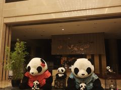 -成都保利公园皇冠假日酒店(熊猫基地店)