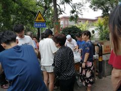 -马文章胖子甑糕(洒金桥店)