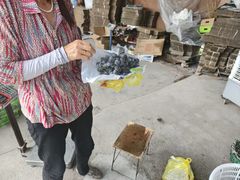 -马陆小张葡萄园农家乐