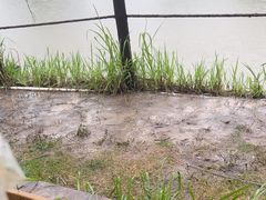 -暮谷MUGO ·团建聚会·露营烧烤·生日派对·共享菜地