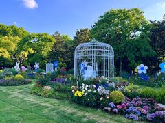 -上海共青森林公园