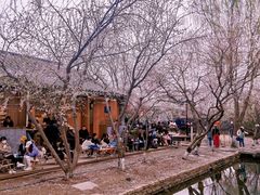 -三里河公园