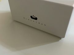 -BLACKSWAN黑天鹅(环球店)