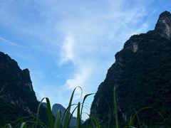 -明仕田园