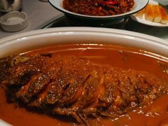 -阿五黄河大鲤鱼(纬三路店)