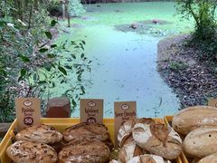 -Bamboo Saturday Market(Nana Jungle)