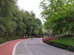 -龙头寺公园