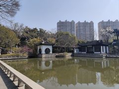 -红梅公园
