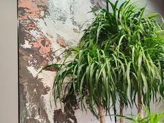 -隐厨·海鲜餐厅(恒通路店)