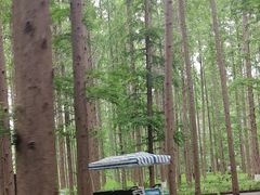 -黄海国家森林公园