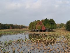 -苏州东太湖生态园