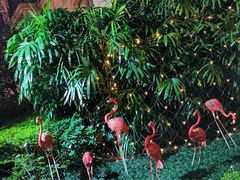 -中旅阿那亚九龙湖·公主酒店