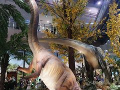 -湖南省地质博物馆