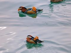 -北海公园