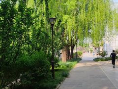 -元大都城垣遗址公园