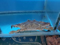 -睿柏云酒店-餐厅