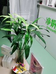 -净妍美肌专业净毛嫩肤连锁机构