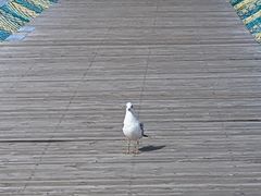 -花湖生态旅游区