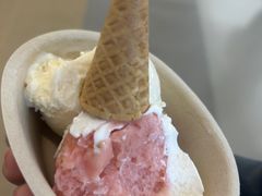 -极拉图·现制冰淇淋(大卫城店)