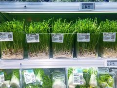 -物美大卖场(玉蜓桥店)