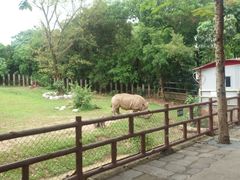 -深圳野生动物园
