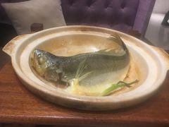 -百鲜楼(藏龙岛店)
