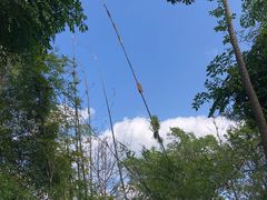 -分塔山省级森林公园