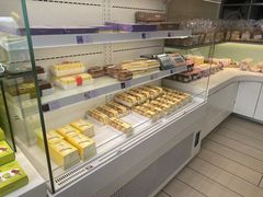 -蒲公英(五里店)