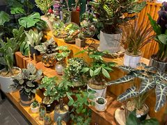 -Olé精品超市(天汇广场店)