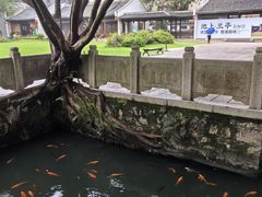 -墨池公园