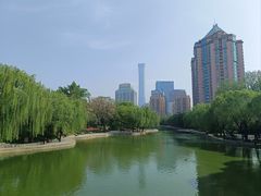 -团结湖公园