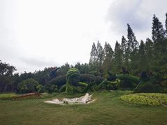 -东平国家森林公园