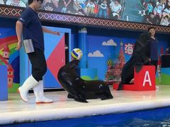 -成都浩海立方海洋公园