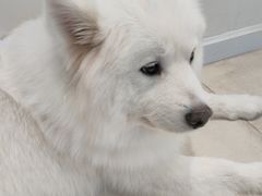 -怪兽屋·羊驼·猫咖·狗咖(俊华广场店)