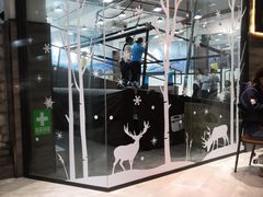 -SNOWGATE滑雪·华雪梦(老西门店)