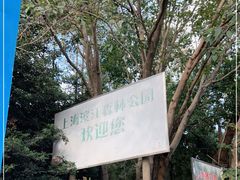 -上海滨江森林公园