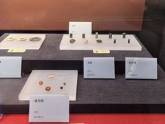 -日照市博物馆