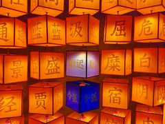 -龙湾潭国家森林公园