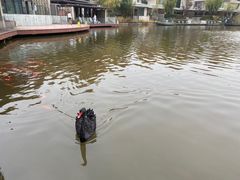 -春晖园度假酒店温泉