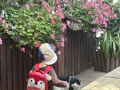 -萤火虫咖啡(后海店)