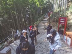-灵顺寺