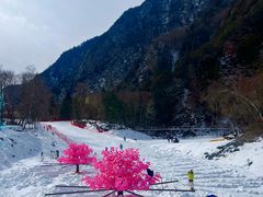 -叠溪松坪沟景区