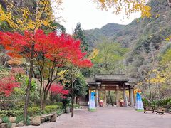 -刘伯温故里景区百丈漈