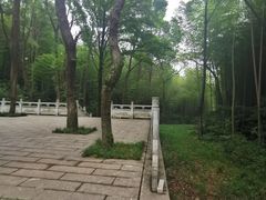 -青龙山国家森林公园